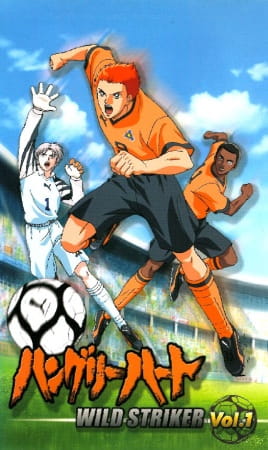 Hungry Heart: Wild Striker anime cover image